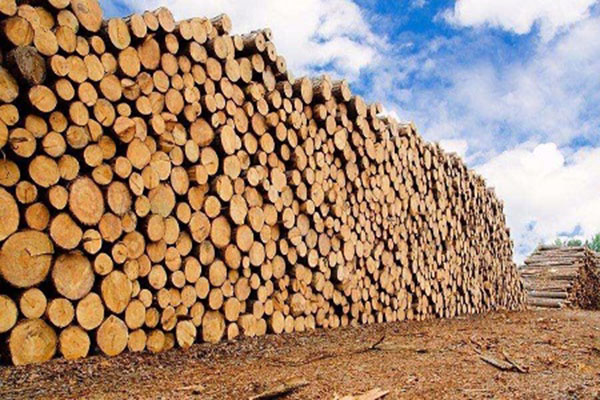 木材国内销售供应