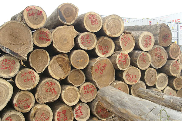兆林木品网——全球木材共享平台
